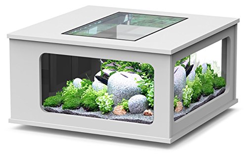 Aquarium table LED 100_100 cm blanc
