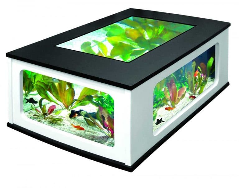 Table basse aquarium le meuble de décoration parfait