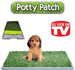 Potty patch litiere chien