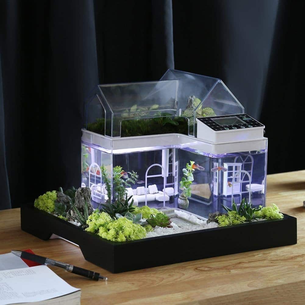 aquarium maison