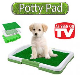 potty pad