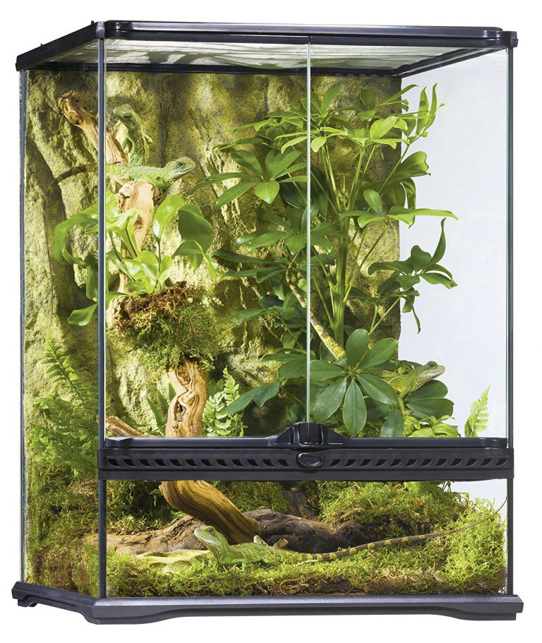 Vivarium nos produits et conseils pour satisfaire vos animaux