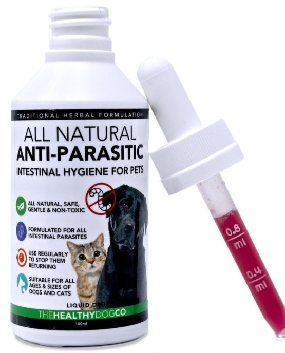 Vermifuge chat, lequel doisje choisir ? Conseils et Produits.